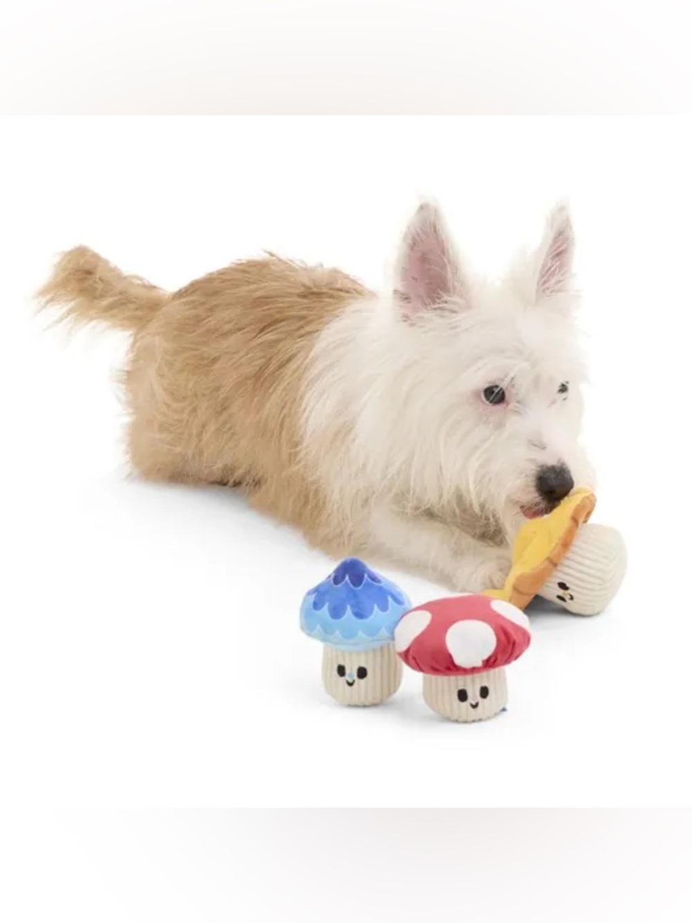 Bark Great Outdoors Plush Dog Toy Set - Blue, Yellow & Red, NWT